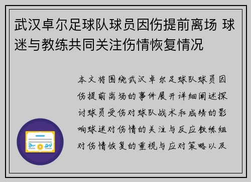 武汉卓尔足球队球员因伤提前离场 球迷与教练共同关注伤情恢复情况