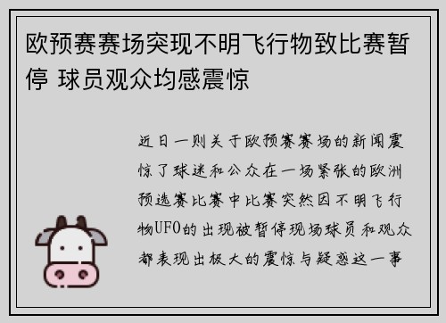 欧预赛赛场突现不明飞行物致比赛暂停 球员观众均感震惊